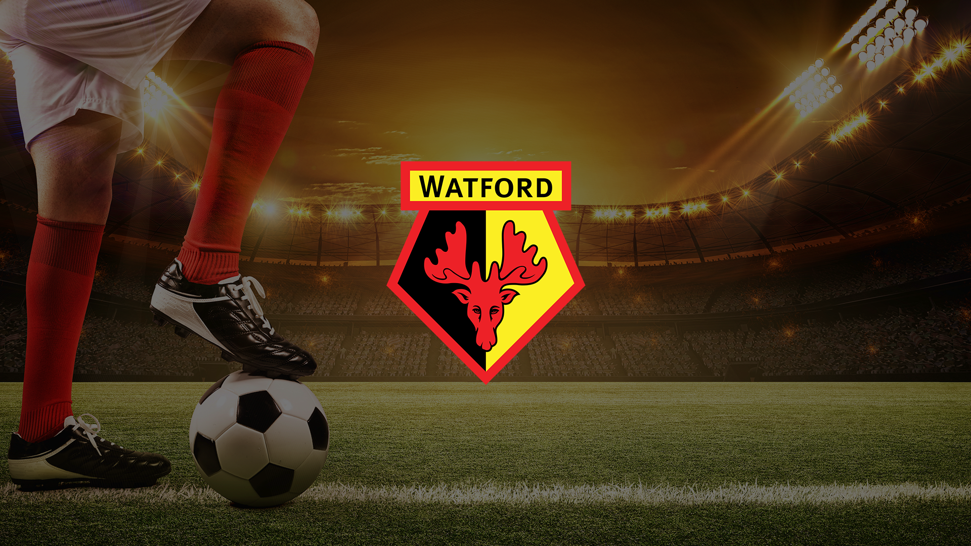 How Watford FC built a growing Indian fanbase through grassroots digital engagement
