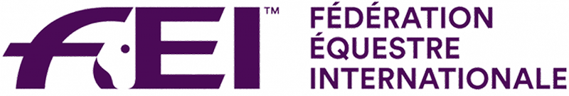 FEI Logo