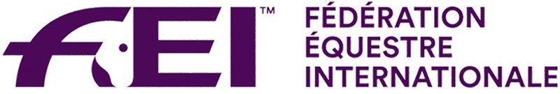 FEI Logo